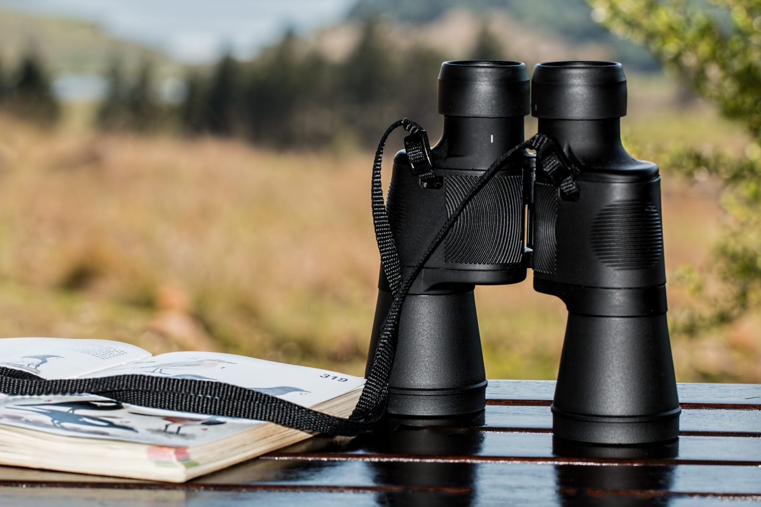 binoculars-995779